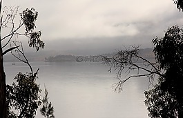 霧,海岸,銀行