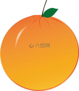 橙色,柑橘,水果