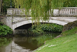 橋,反射,水