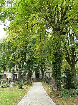 墓地,景點(diǎn),樹