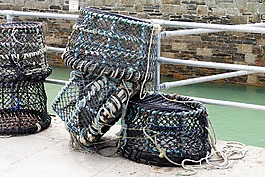 釣魚,蚊帳,螃蟹