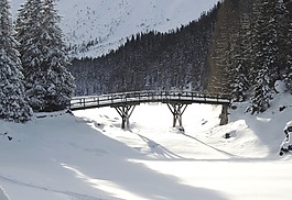 橋,冬天,雪