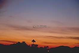 日出,從,溶膠
