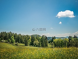 草地,性質(zhì),景觀