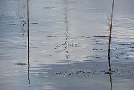 幾點思考,水,性質(zhì)