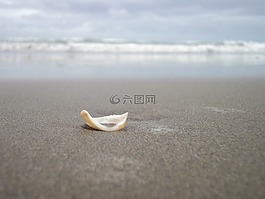 貝殼,外殼,克里特島