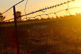帶刺鐵絲網(wǎng),籬笆,金屬絲網(wǎng)