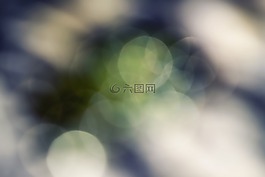散景,抽象,顏色