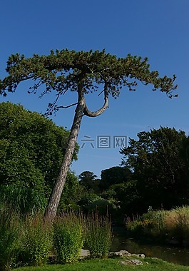 英格蘭,海峽群島,英國