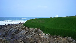海洋,巖,海