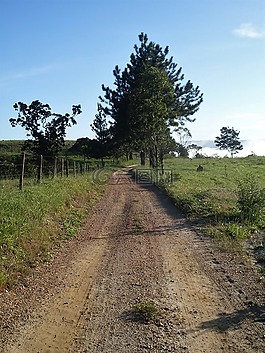 景觀,國(guó)家,路
