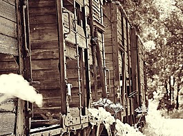 列车,火车公墓,zughalde