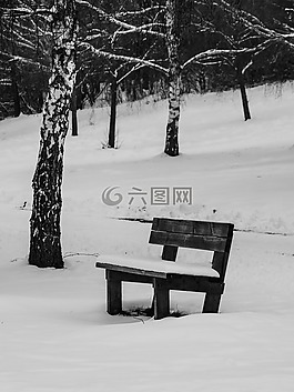 银行,冬天,雪