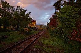 火車(chē)鐵路,臺(tái)灣,農(nóng)村