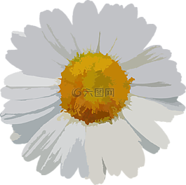 花,花的,雛菊