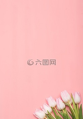 花卉,性質,郁金香
