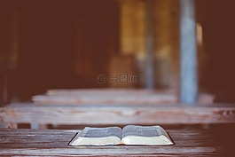 書,圣經(jīng),閱讀