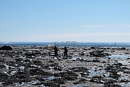 加拿大,冬天,海