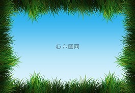 草,高峰,綠色