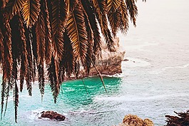 海,海洋,水