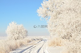 車道,路,白霜