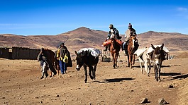 景观,山区,农民