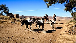 景观,山区,农民