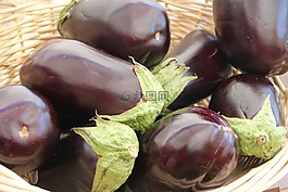 茄子,蔬菜,有機食品