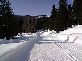 滑雪道,越野滑雪,越野滑雪道