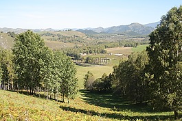 阿尔泰山,山,景观