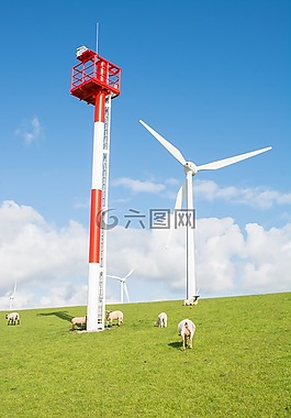 羊,堤防工程,北海