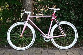 自行車,循環(huán),車輪