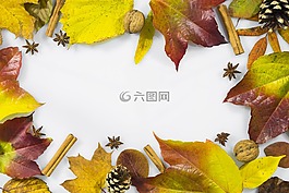 圣誕節(jié),來(lái)臨,weinachtlich