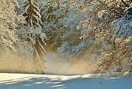 冬天,寒冬,雪