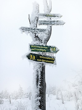 冬天,雪,離