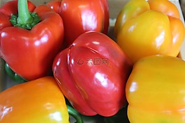 食品,蔬菜,健康