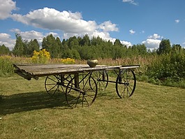 購物車,村,車皮