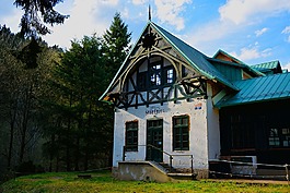 房子,森林,山寨