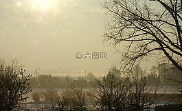 冬季,雪,霧