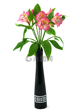 花瓶,陶瓷,鮮花