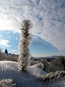 冬天,雪,eiskristalle