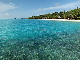 海洋,海,水