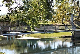 河,橋,水
