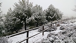 雪,內(nèi)華達州,冬天