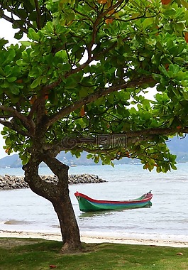 美麗的島嶼,小船,mar