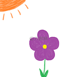 雛菊,花,開花