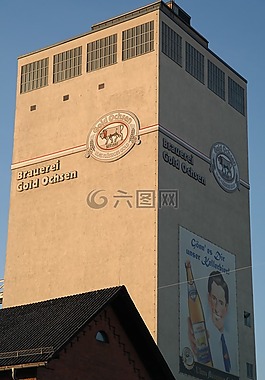 啤酒廠金黃牛,釀酒廠,牛金