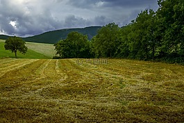 景觀,性質(zhì),appennino