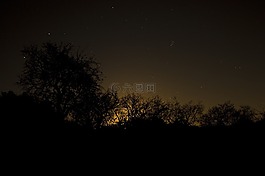 夜晚的天空,樹木,影子