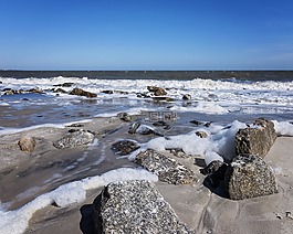 海,水,海濱
